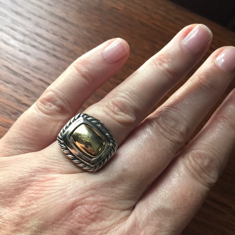 Premier Designs Silver and Gold Ring